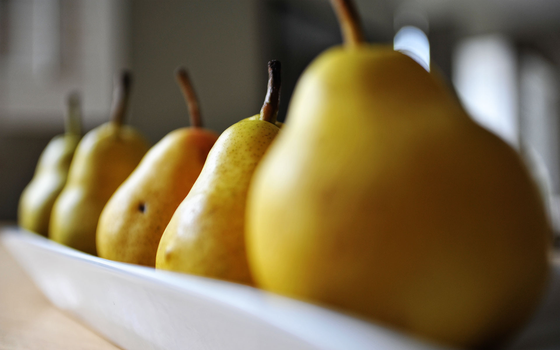 client: still life pears